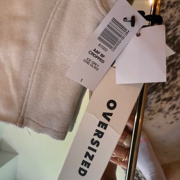 NWT TNA Light Grey Cozy Fleece Boyfriend Cropped Hoodie - Size 1 - Picture 2 of 7